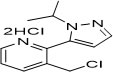 3-(氯甲基)-2-(2-丙-2-基吡唑-3-基)吡啶二盐酸盐(沃塞洛托 N-2)